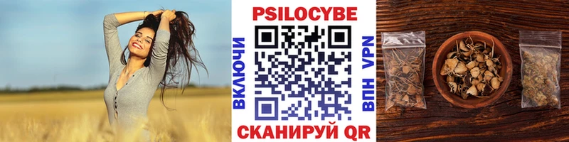 Псилоцибиновые грибы прущие грибы  мега зеркало  Тулун 
